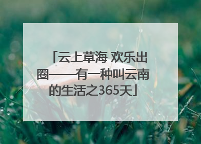 云上草海 欢乐出圈——有一种叫云南的生活之365天
